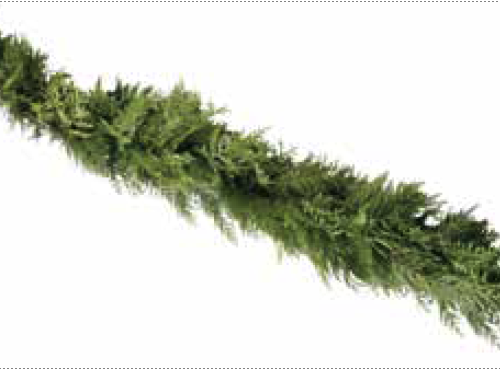 25-foot Cedar Garland