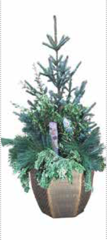 32-inch Evergreen Planter Regular