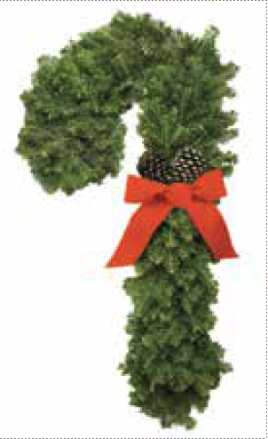 Balsam Candy Cane